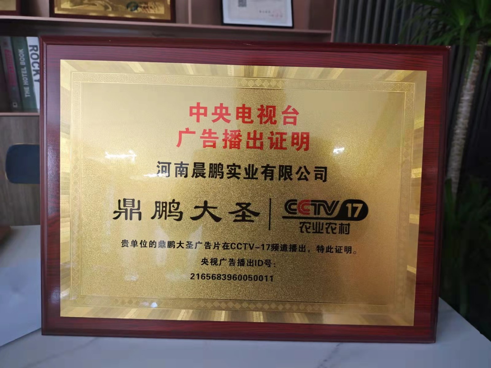 大圣央视播出证明.jpg
